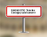 Diagnostic Termite AC Environnement  à Chevigny Saint Sauveur